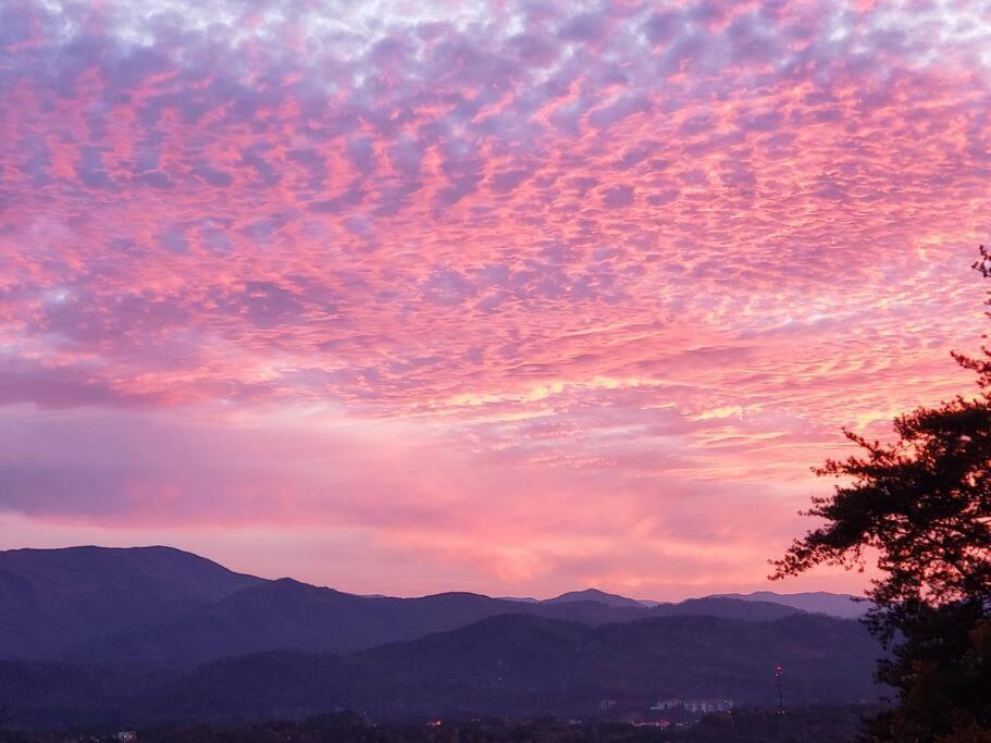 Вілла Yogi'S Den: Breathtaking Views! 3 Min To Dollywood, On 1 Acre! Сев'єрвілл Екстер'єр фото